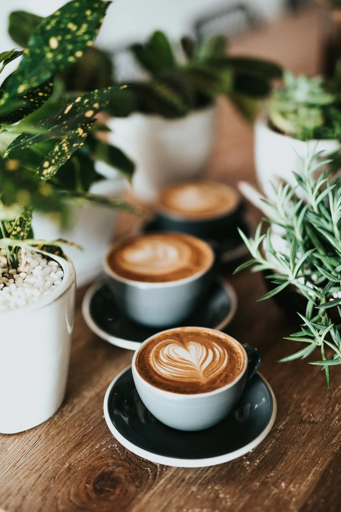 A flat white on the counter